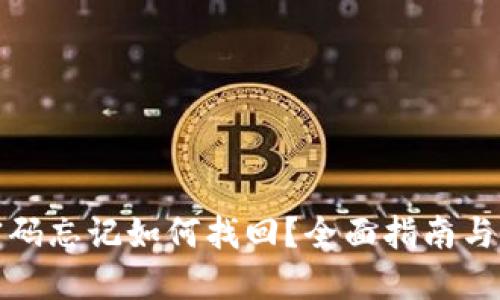 TP钱包密码忘记如何找回？全面指南与解决方案