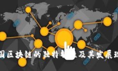 中国区块链的独特特性及