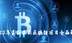 2023年美国最新区块链项目全面解析
