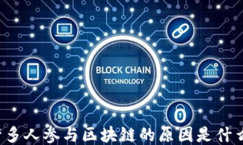 
许多人参与区块链的原因是什么？