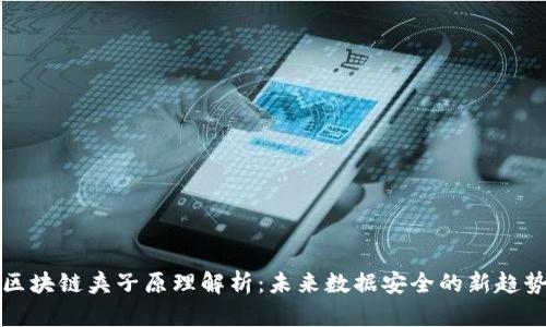 区块链夹子原理解析：未来数据安全的新趋势