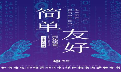如何通过TP购买FEG币：详细指南与步骤分析
