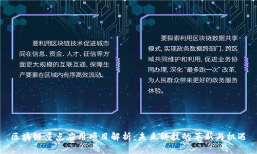 区块链重点应用项目解析：未来科技的革新与机遇
