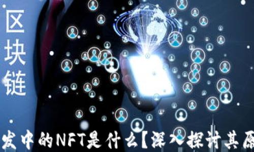 
区块链开发中的NFT是什么？深入探讨其原理与应用