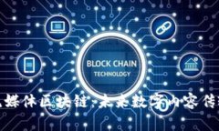 揭秘极光流媒体区块链：未来数字内容传输的新