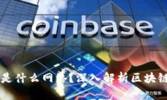 区块链上的网站是什么网络？深入解析区块链网