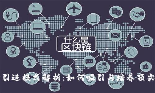 区块链人才引进模式解析：如何吸引与培养顶尖区块链人才