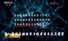 深入解析区块链分片技术项目及其前景