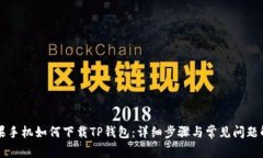 苹果手机如何下载TP钱包：详细步骤与常见问题解