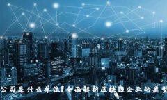 :区块链公司是什么单位？全面解析区块链企业的