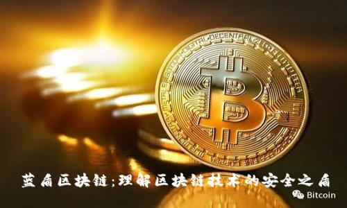 蓝盾区块链：理解区块链技术的安全之盾