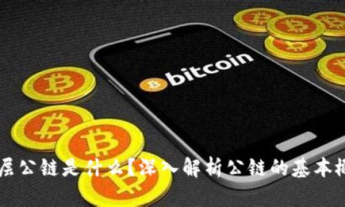 区块链底层公链是什么？深入解析公链的基本概念与应用