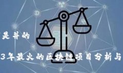 以下是并的2023年最火的区块链项目分析与预测