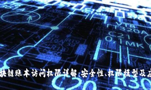区块链账本访问权限详解：安全性、权限模型及应用
