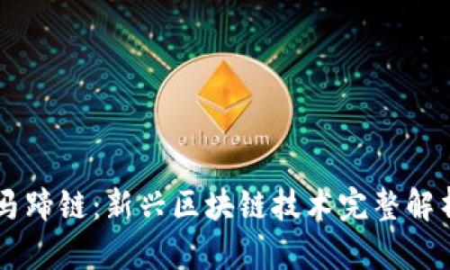 马蹄链：新兴区块链技术完整解析