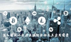 深入解析小程序区块链活动及其应用前景