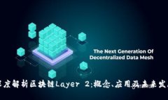 深度解析区块链Layer 2：概念、应用及未来发展