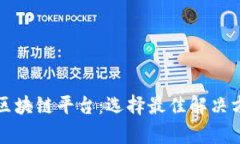 最有效的区块链平台：选择最佳解决方案的指南