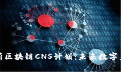 : 深入解析区块链CNS计划：未来数字身份的革新
