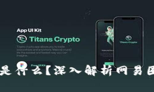 区块链网易圈圈是什么？深入解析网易圈圈的功能与应用