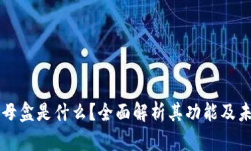 区块链母盒是什么？全面解析其功能及未来发展