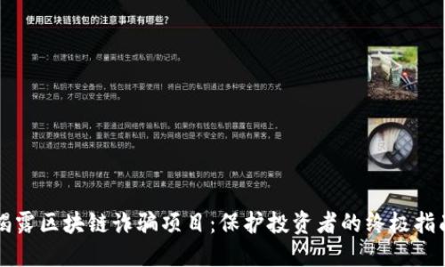 揭露区块链诈骗项目：保护投资者的终极指南
