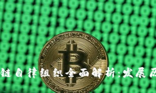 新加坡区块链自律组织全面解析：发展历程与影响力