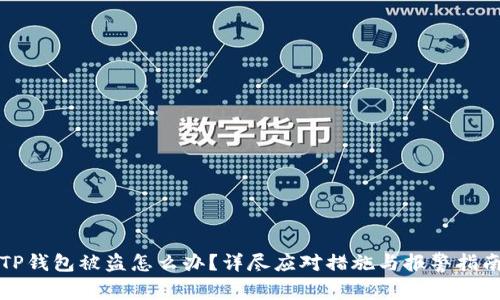 TP钱包被盗怎么办？详尽应对措施与报警指南