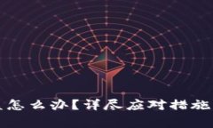 TP钱包被盗怎么办？详尽应对措施与报警指南