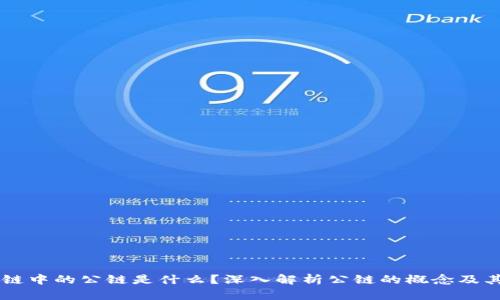 区块链中的公链是什么？深入解析公链的概念及其应用