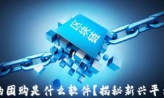 区块链下的团购是什么软件？揭秘新兴平台及其