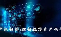 区块链技术产权解析：理解数字资产的所有权与